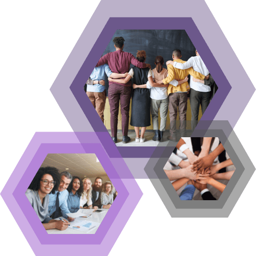 Copy of Copy of Purple Hexagon Modern Company Profile Presentation