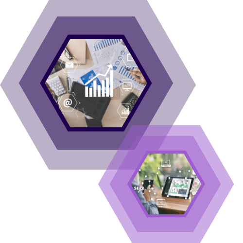 Purple Hexagon Modern Company Profile Presentation