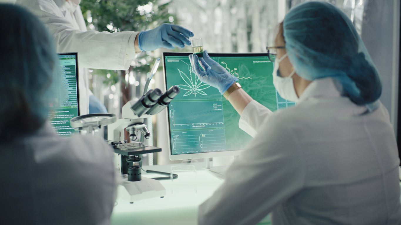 Medical marijuana research