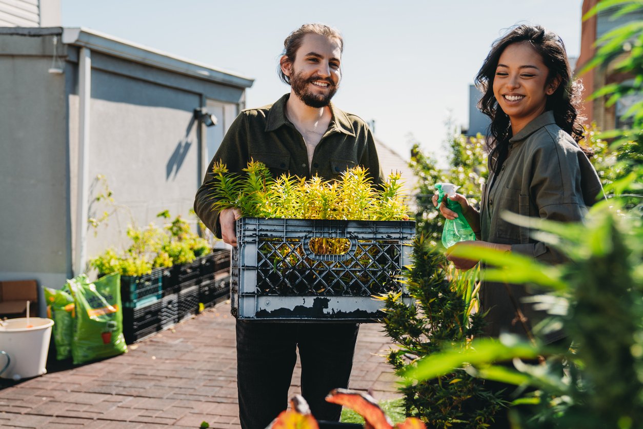 Millennial hipster couple on the rooftop terrace taking care of the vegetable garden