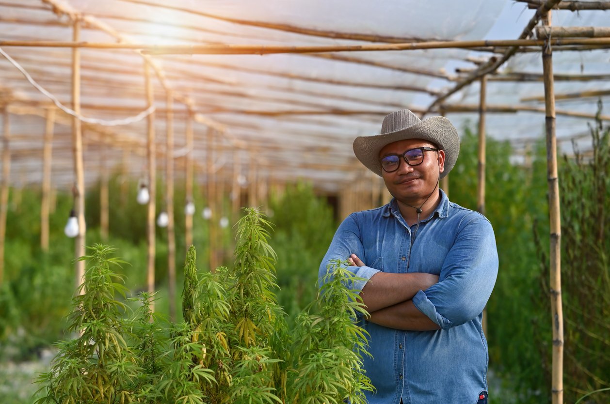 Cultivation of cannabis plants legally